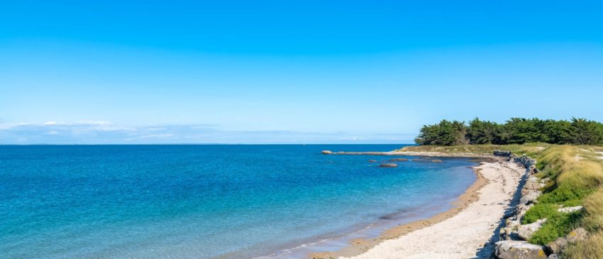 AdobeStock_480328075